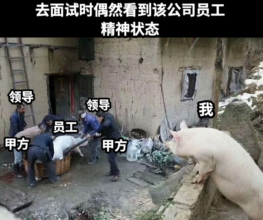 员工我去面试时偶然看到该公司员工精神状态领导甲方甲方领导
