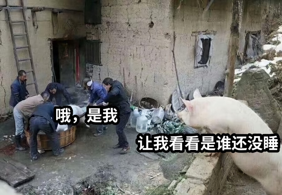 哦，是我让我看看是谁还没睡