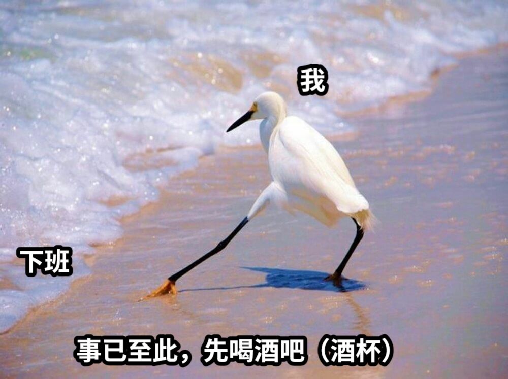 下班我事已至此，先喝酒吧（酒杯）