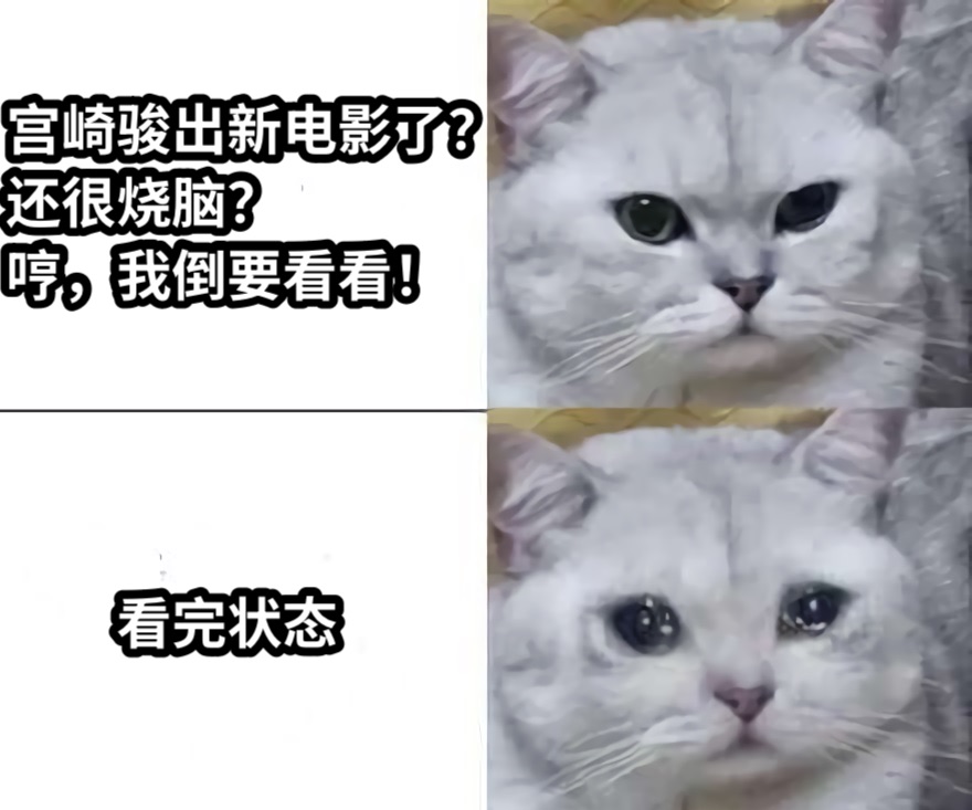 宫崎骏出新电影了？还很烧脑？哼，我倒要看看！看完状态