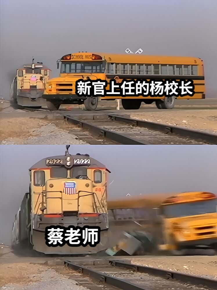 新官上任的杨校长蔡老师