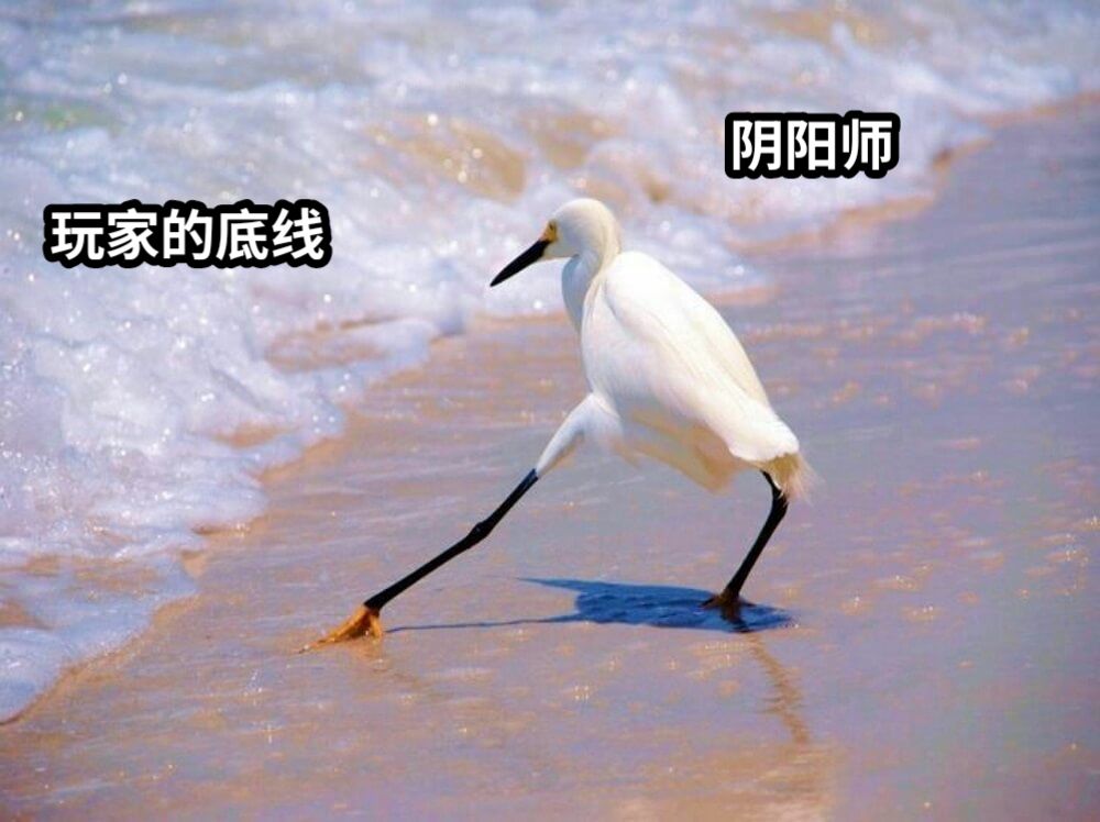 阴阳师玩家的底线