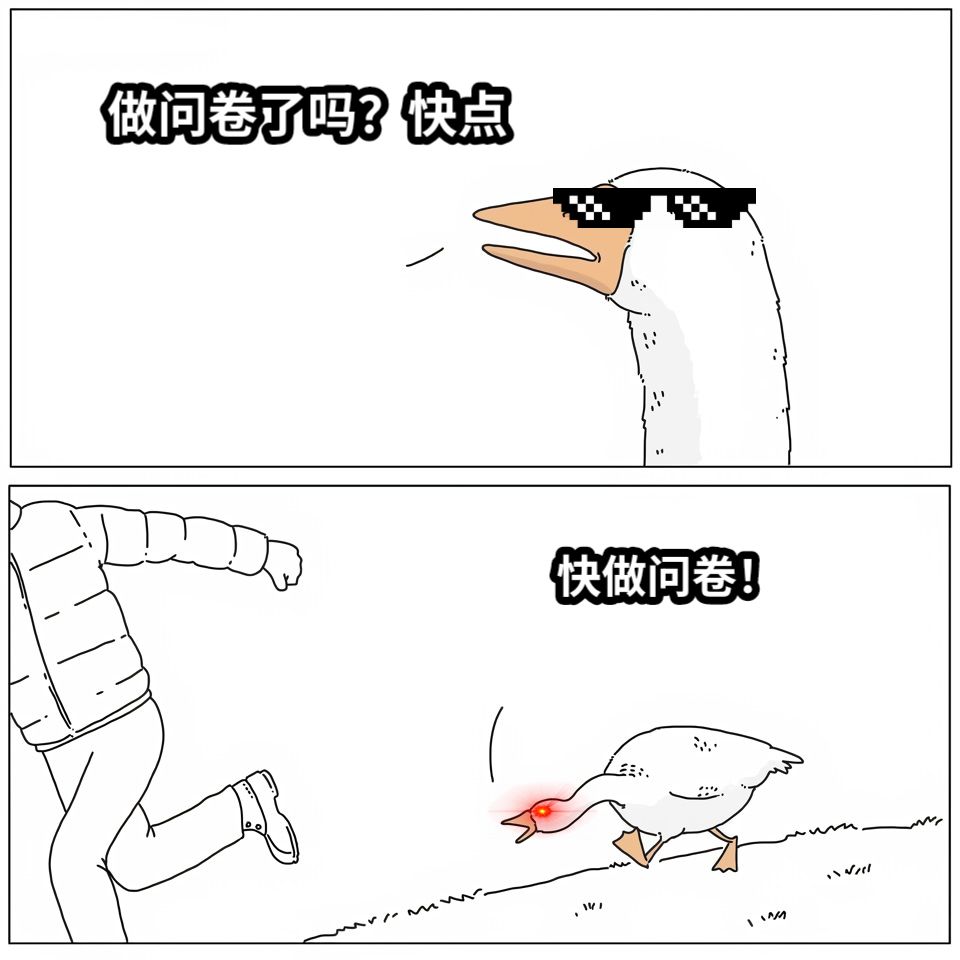 做问卷了吗？快点快做问卷！