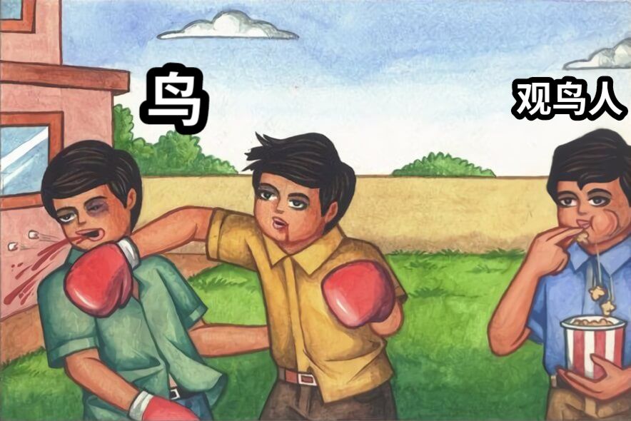 鸟观鸟人