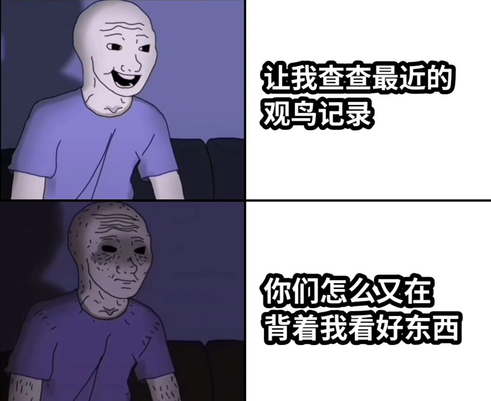 让我查查最近的观鸟记录你们怎么又在背着我看好东西