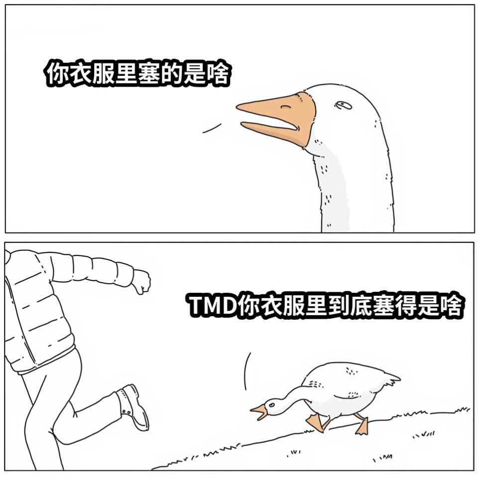 你衣服里塞的是啥TMD你衣服里到底塞得是啥