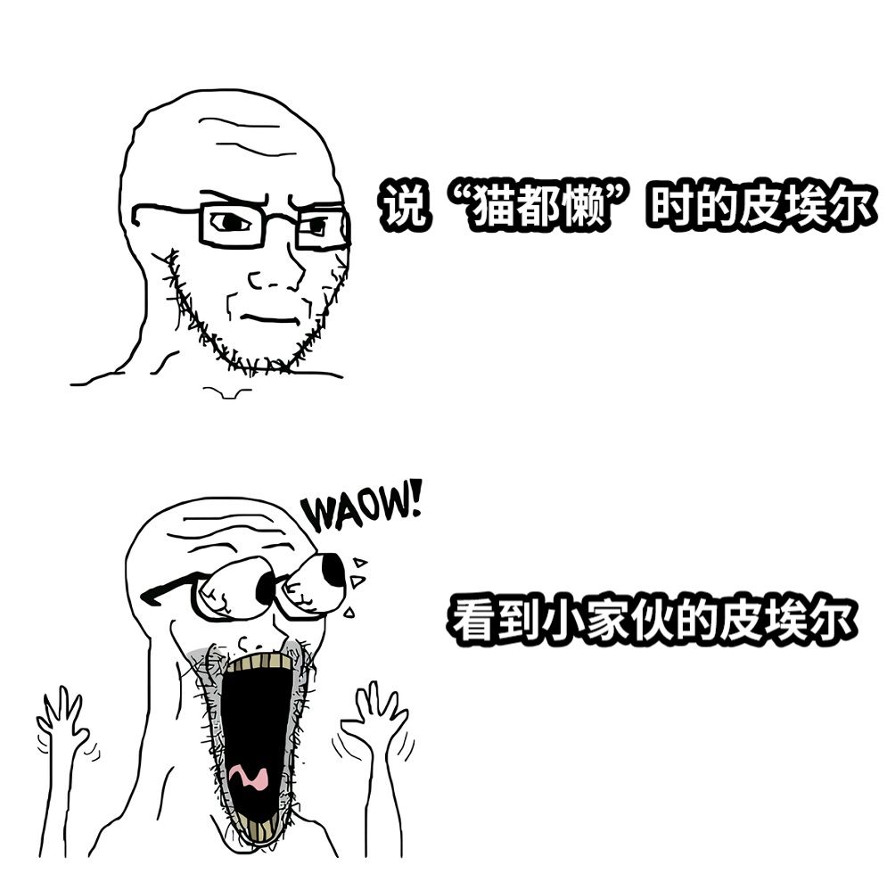 说“猫都懒”时的皮埃尔看到小家伙的皮埃尔