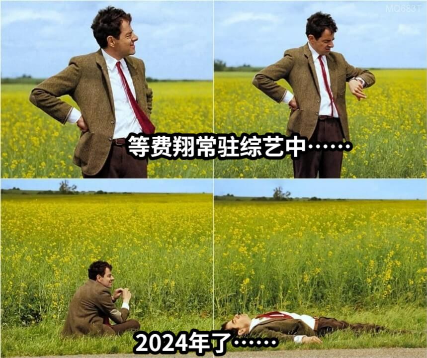 等费翔常驻综艺中…… 2024年了……