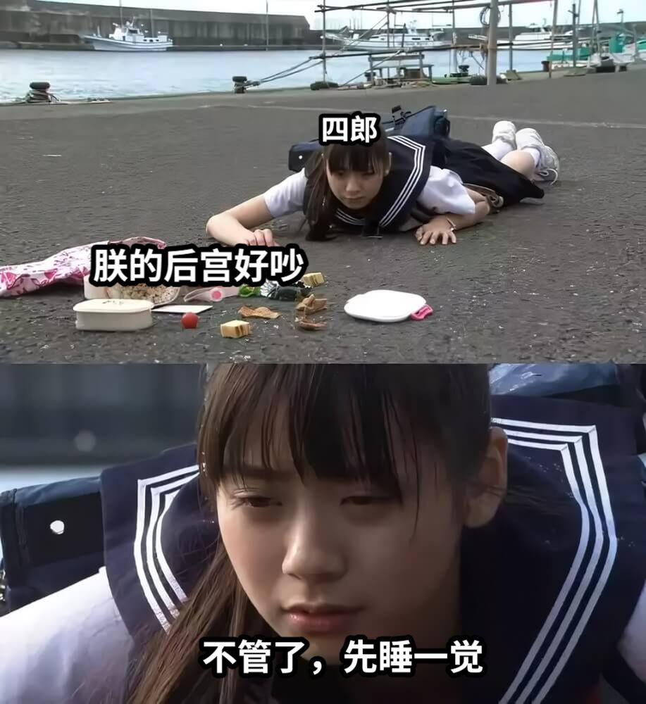 朕的后宫好吵不管了，先睡一觉四郎