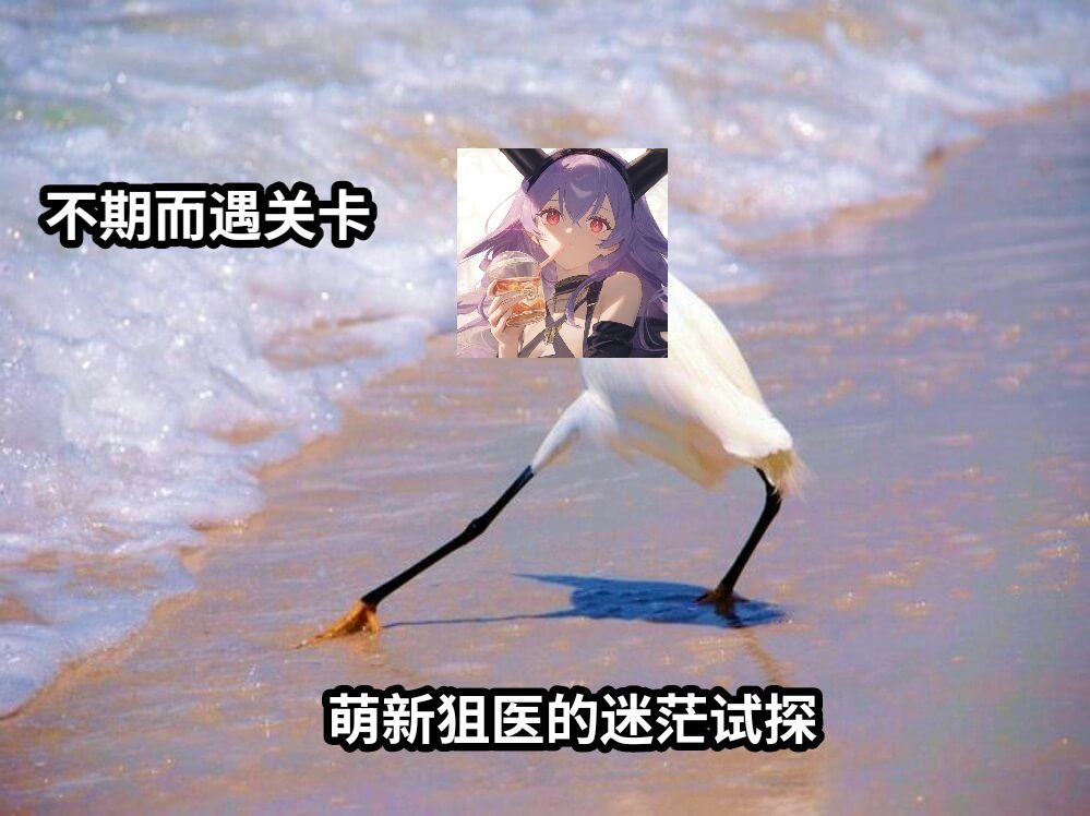 萌新狙医的迷茫试探不期而遇关卡