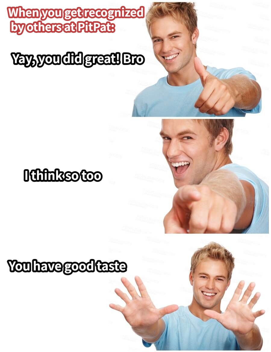 Yay, you did great! BroI think so tooYou have good tasteWhen you get recognized by others at PitPat: