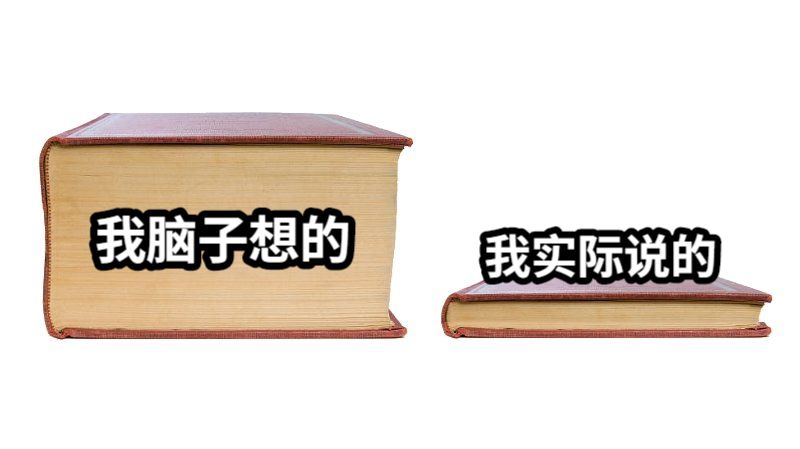 我脑子想的我实际说的