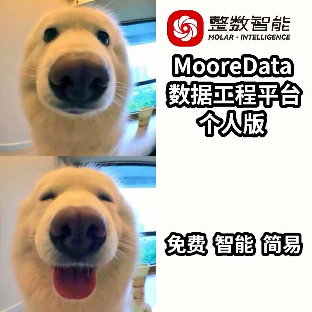 MooreData数据工程平台个人版