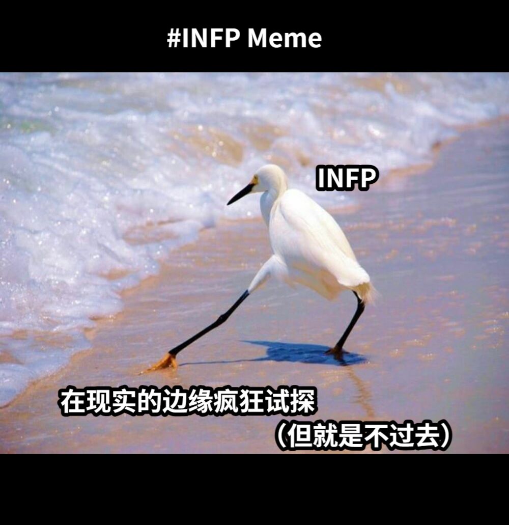 在现实的边缘疯狂试探INFP（但就是不过去）#INFP Meme