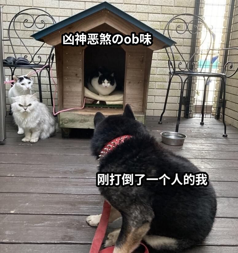 凶神恶煞のob味刚打倒了一个人的我