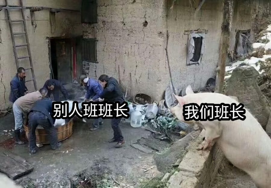 别人班班长我们班长