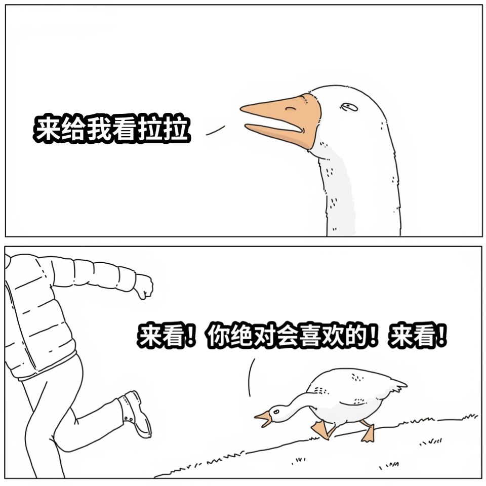 来给我看拉拉来看！你绝对会喜欢的！来看！