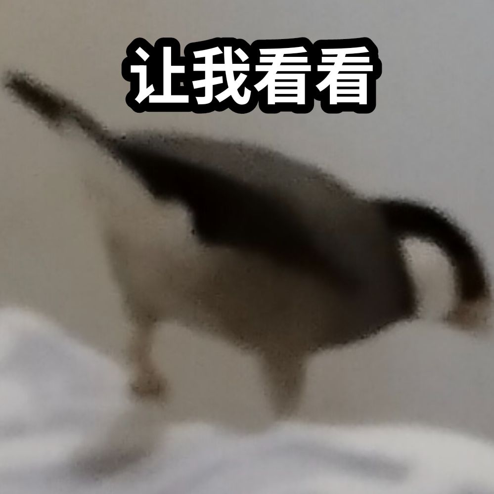 让我看看