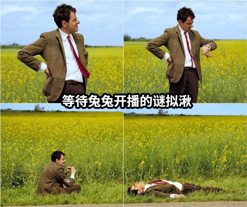 等待兔兔开播的谜拟湫编写你想要的文字