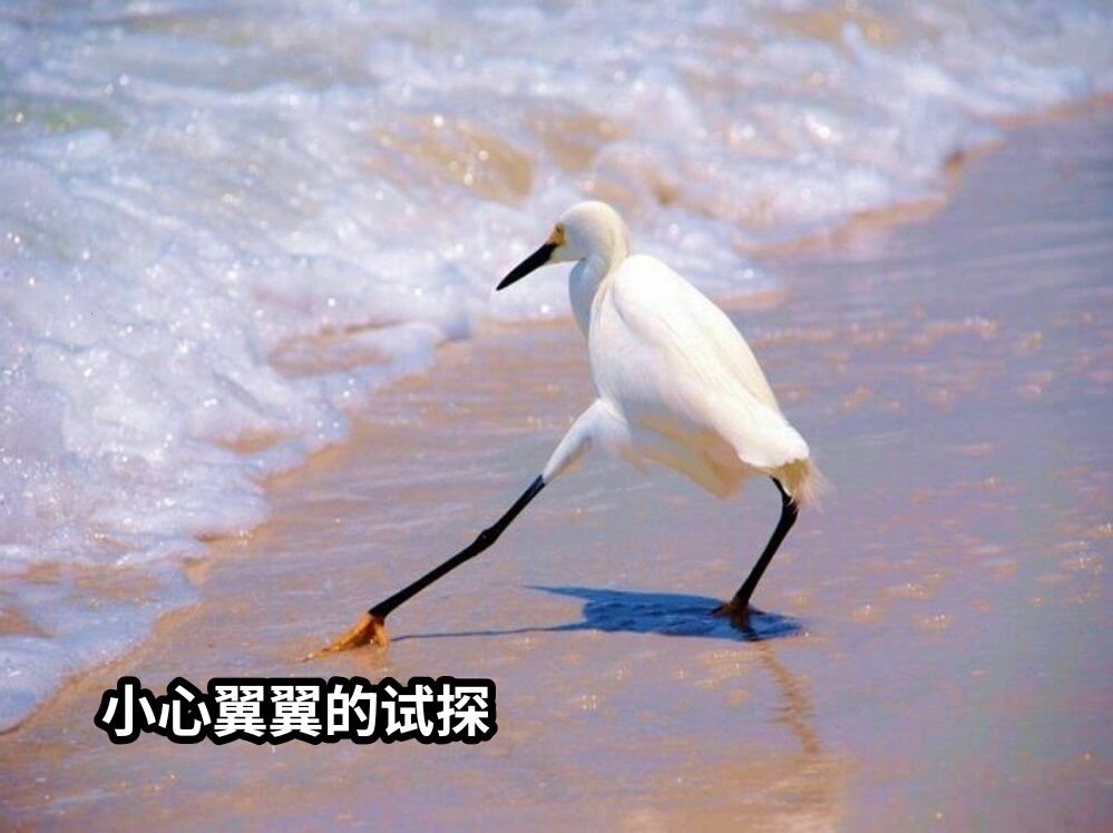 小心翼翼的试探
