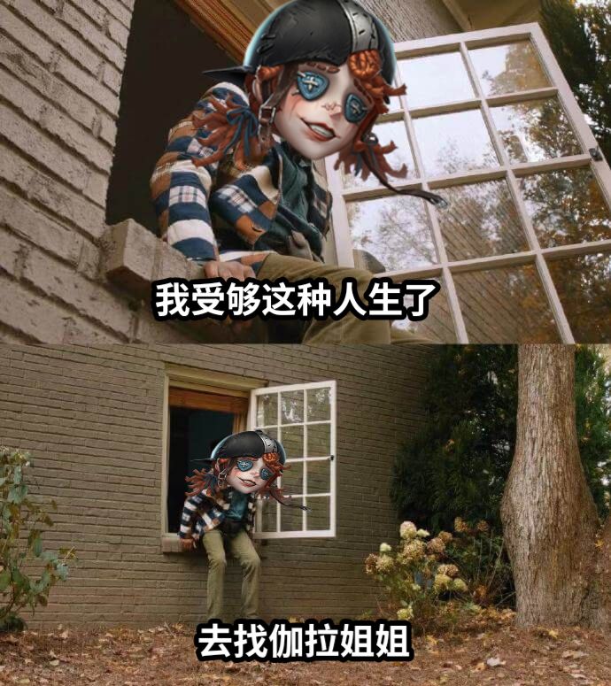 我受够这种人生了去找伽拉姐姐