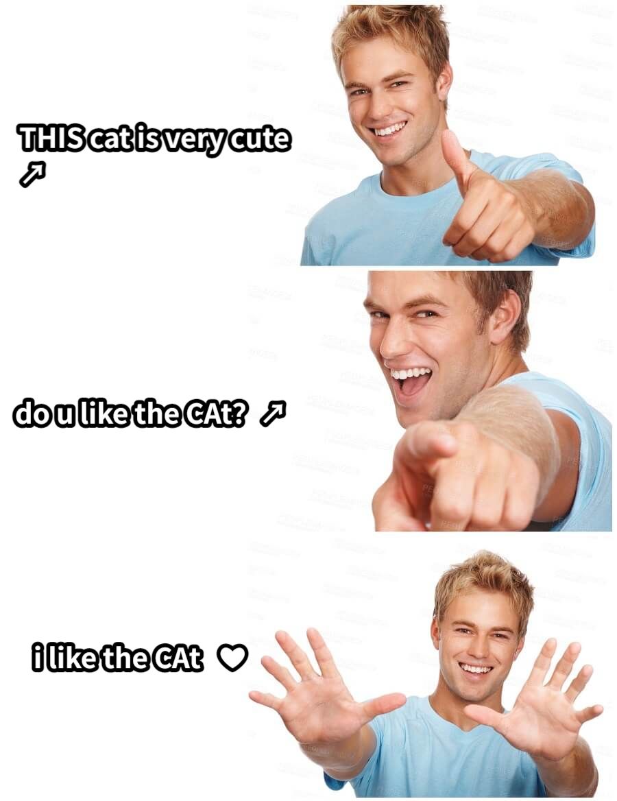 THIS cat is very cute↗do u like the CAt？↗i like the CAt   ❤