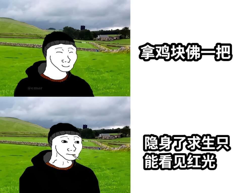 拿鸡块佛一把隐身了求生只能看见红光