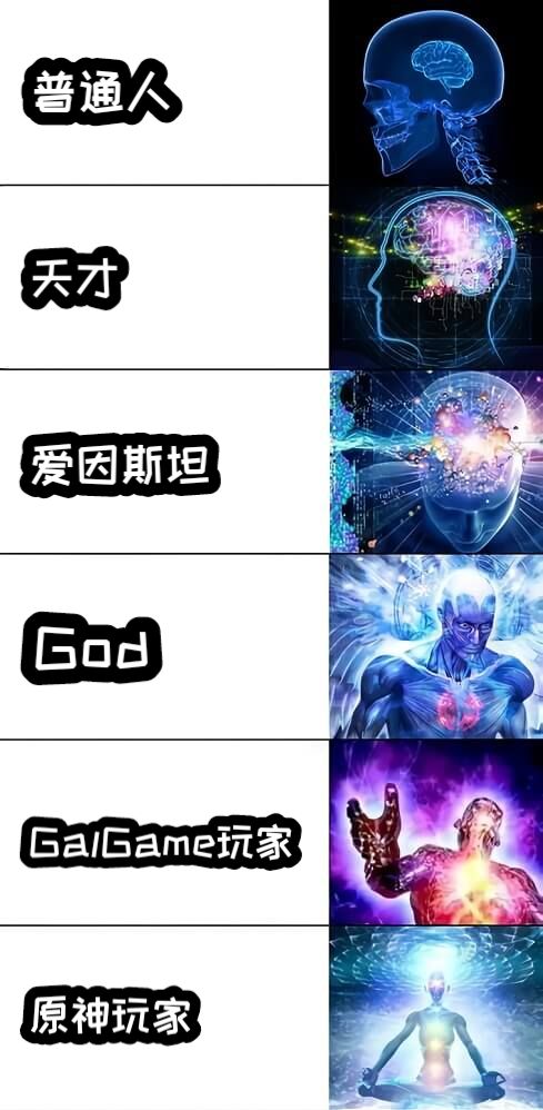 普通人天才爱因斯坦God原神玩家GalGame玩家