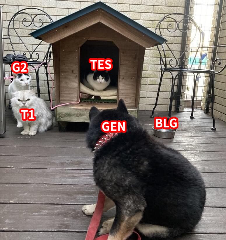 TES                BLGGENT1G2