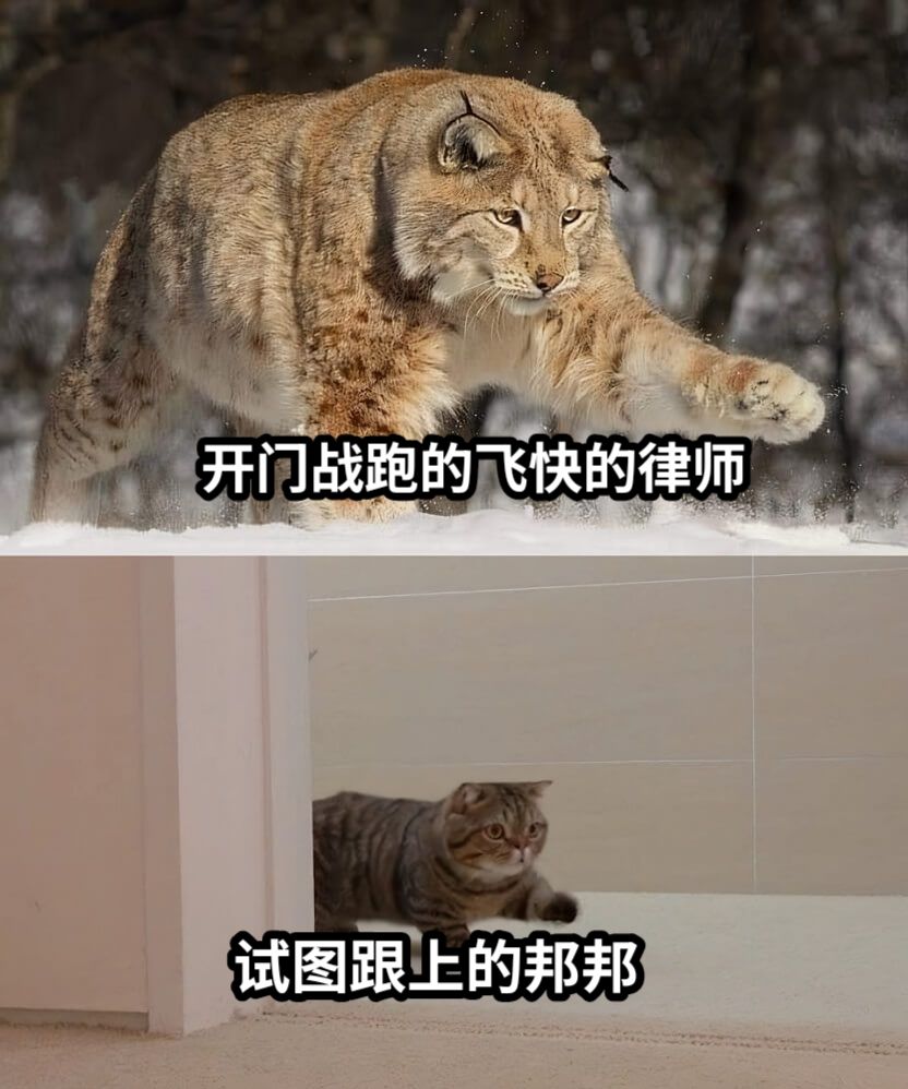 开门战跑的飞快的律师试图跟上的邦邦