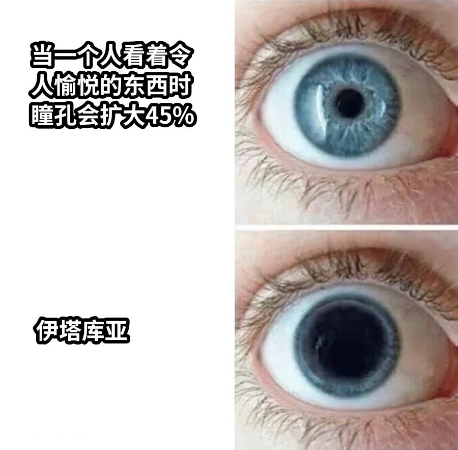 当一个人看着令人愉悦的东西时瞳孔会扩大45%伊塔库亚