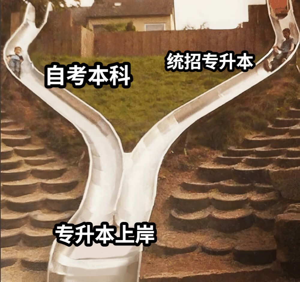 自考本科统招专升本专升本上岸