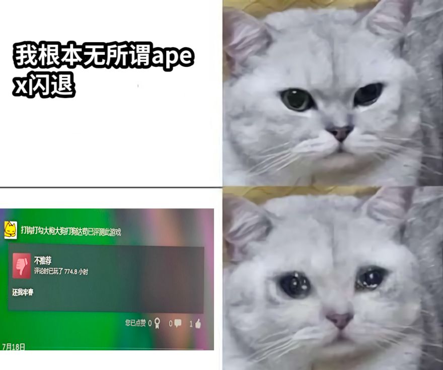 我根本无所谓apex闪退