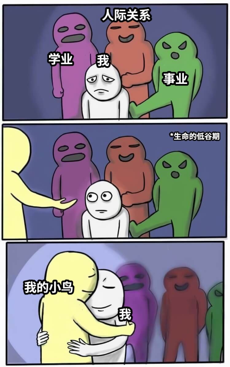 学业事业人际关系*生命的低谷期我的小鸟我我