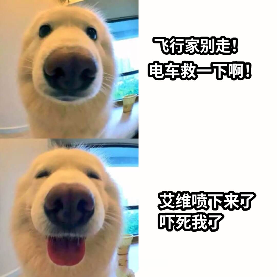 飞行家别走！电车救一下啊！艾维喷下来了吓死我了
