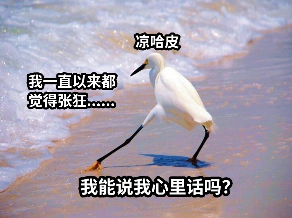 我能说我心里话吗？我一直以来都觉得张狂......凉哈皮