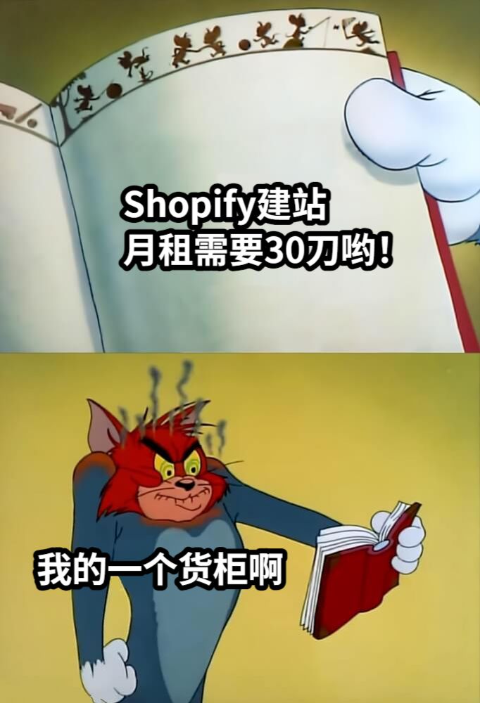Shopify建站月租需要30刀哟！我的一个货柜啊