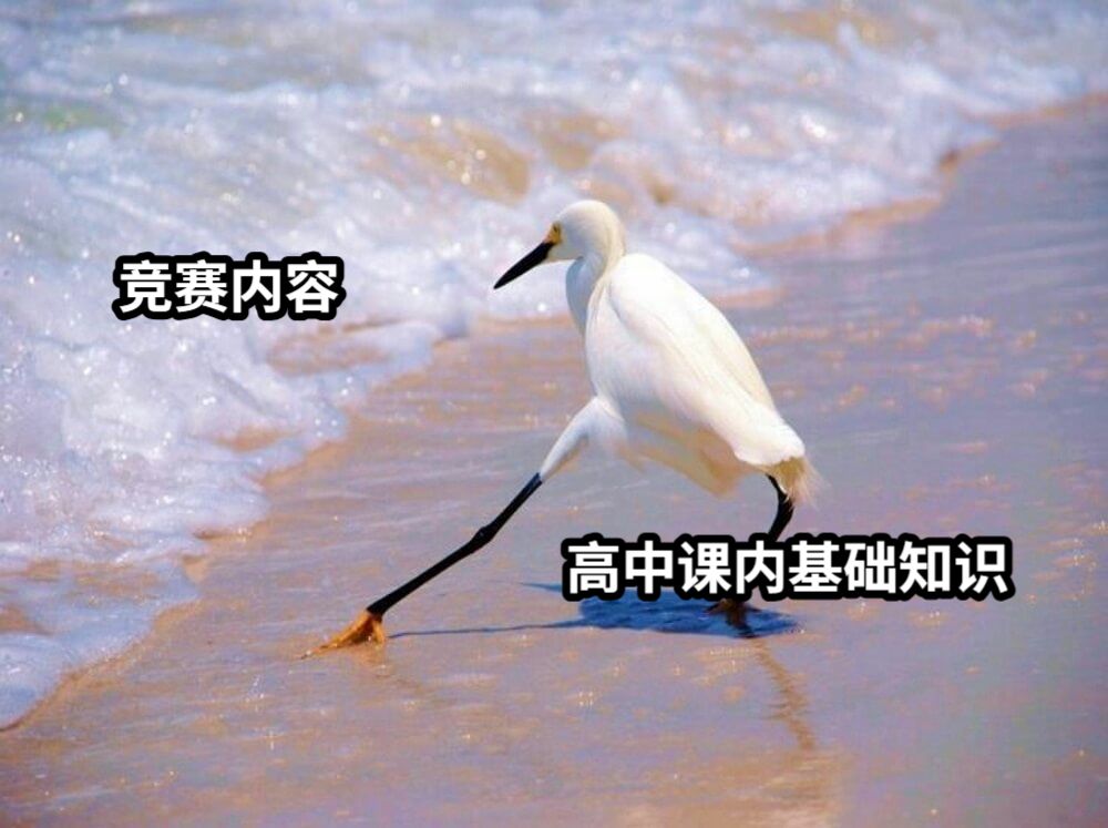 高中课内基础知识竞赛内容
