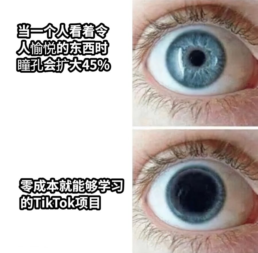 当一个人看着令人愉悦的东西时瞳孔会扩大45%零成本就能够学习的TikTok项目