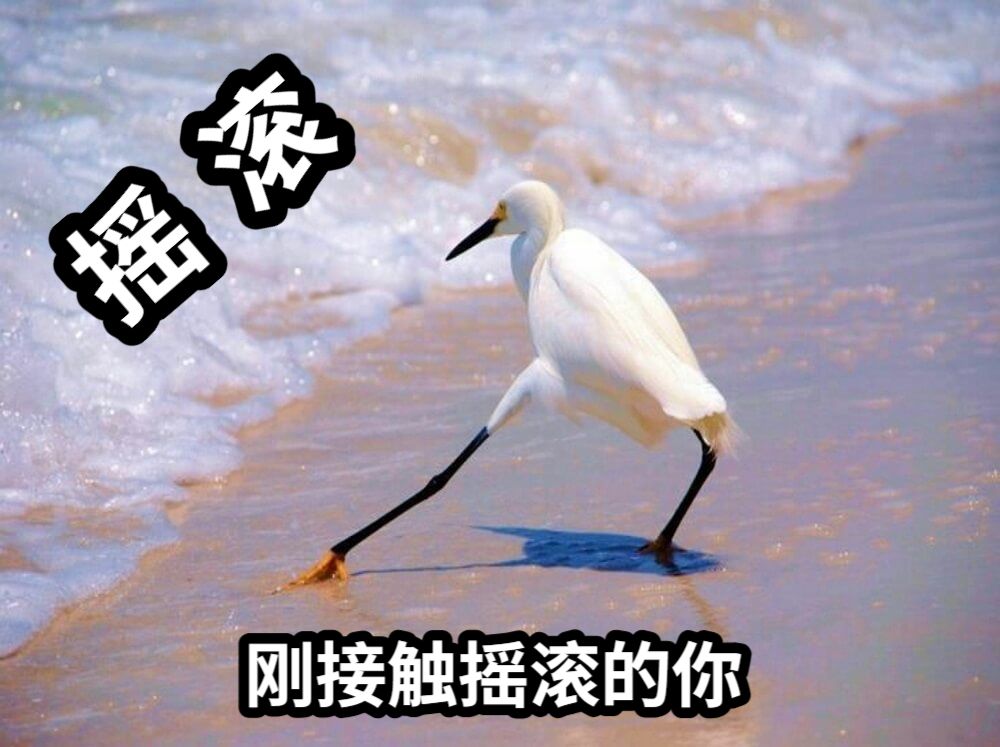 摇  滚刚接触摇滚的你