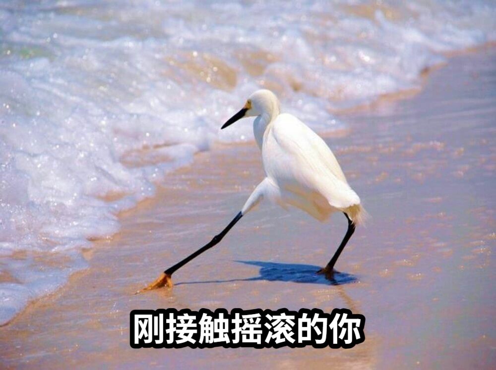 刚接触摇滚的你