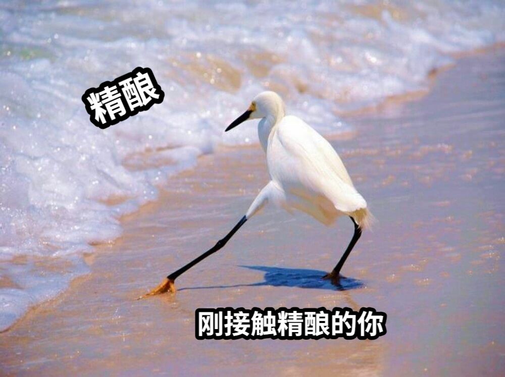 刚接触精酿的你精酿