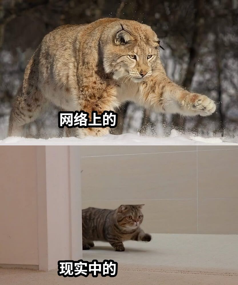 网络上的现实中的