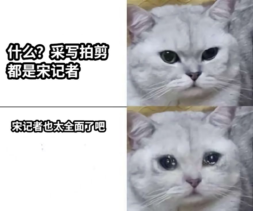 什么？采写拍剪都是宋记者宋记者也太全面了吧