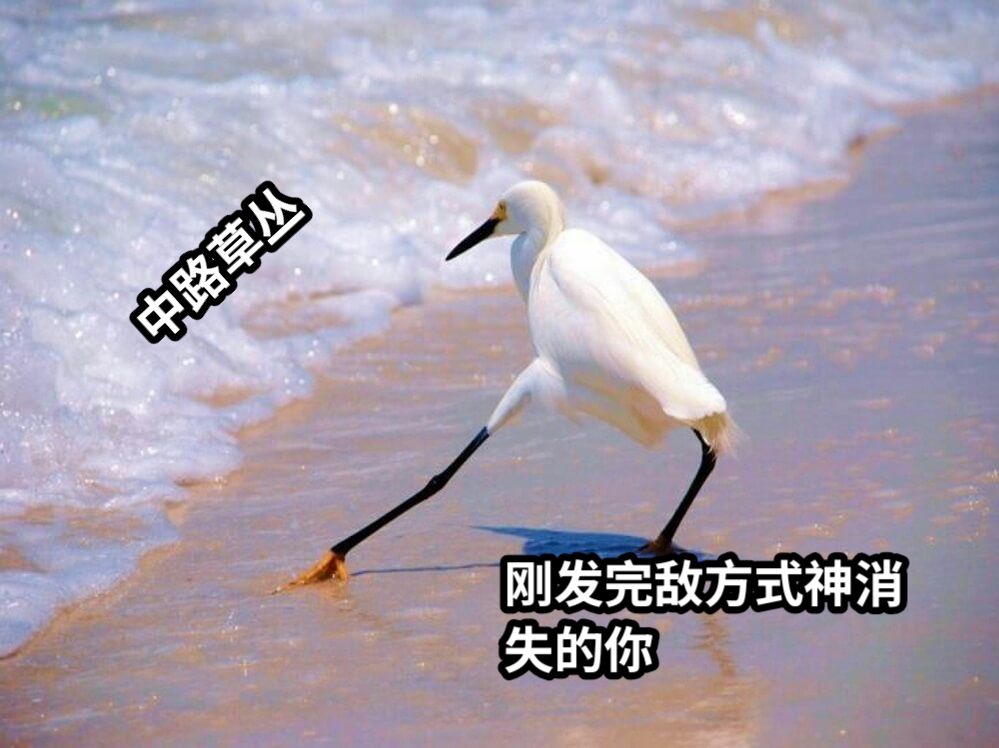 刚发完敌方式神消失的你中路草丛