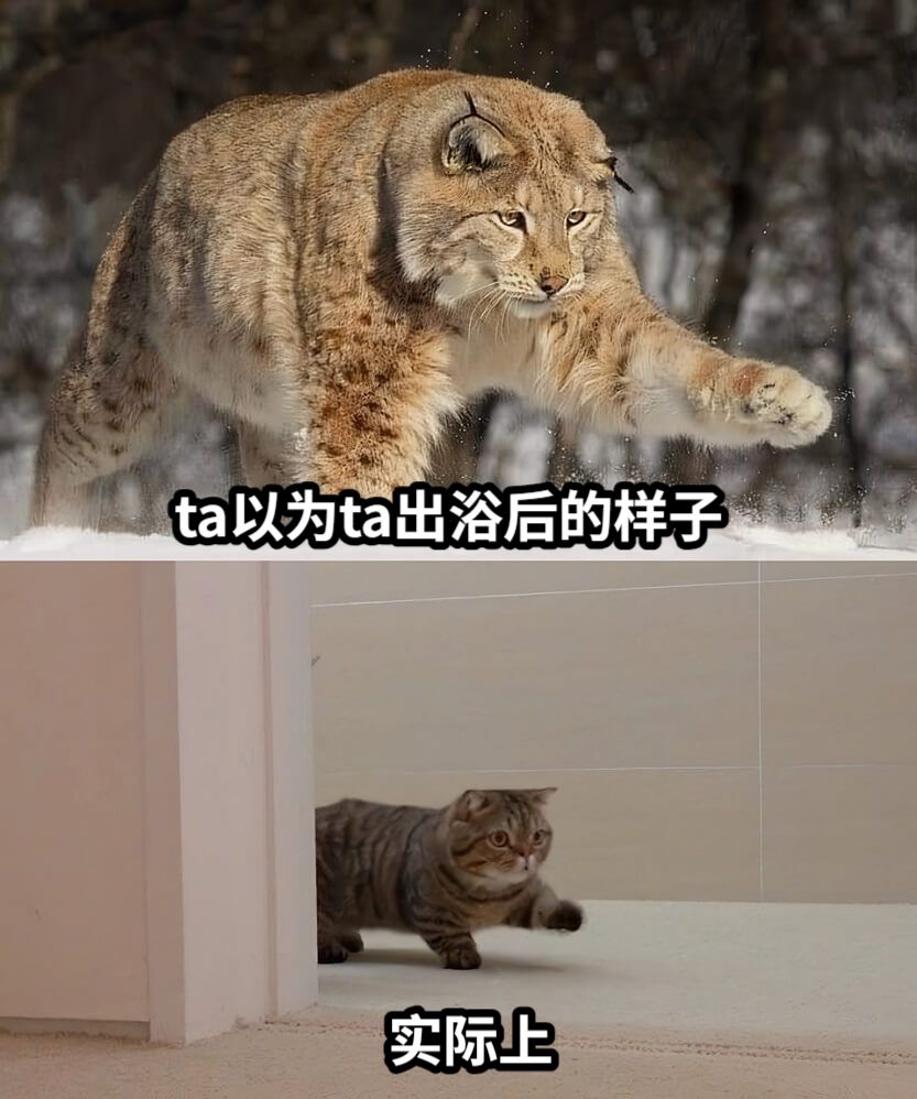 ta以为ta出浴后的样子实际上