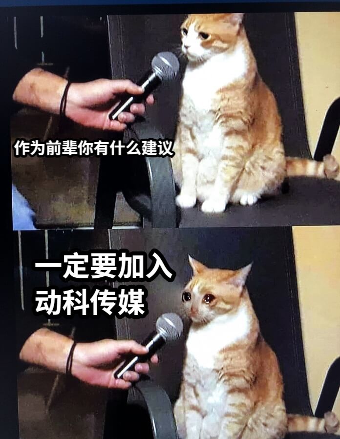 作为前辈你有什么建议一定要加入动科传媒