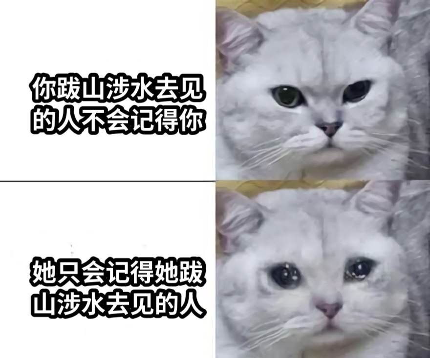 你跋山涉水去见的人不会记得你她只会记得她跋山涉水去见的人