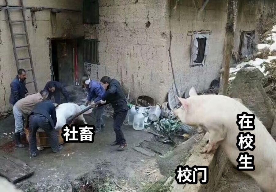 社畜在校生校门