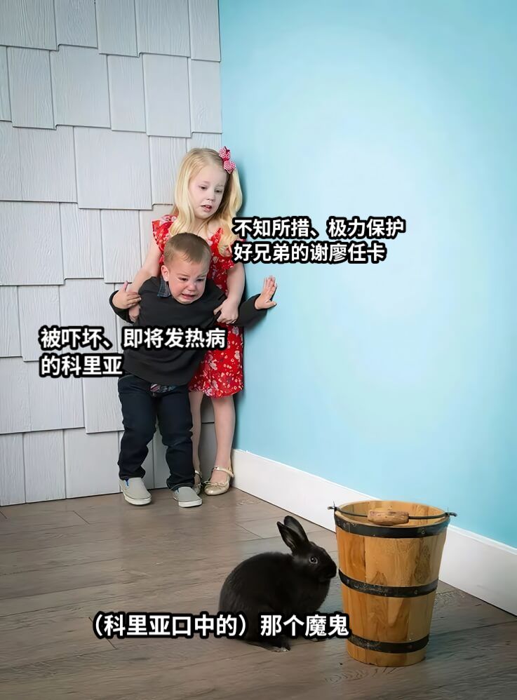 被吓坏、即将发热病的科里亚不知所措、极力保护好兄弟的谢廖任卡（科里亚口中的）那个魔鬼